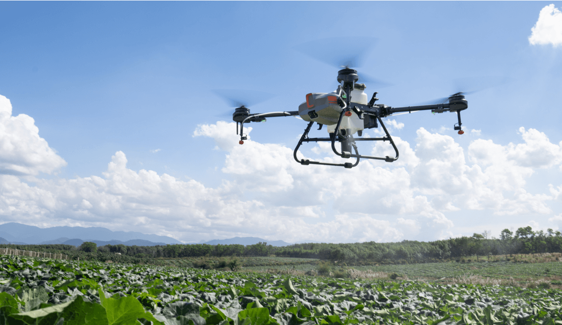 Drone assisted outlet crop monitoring